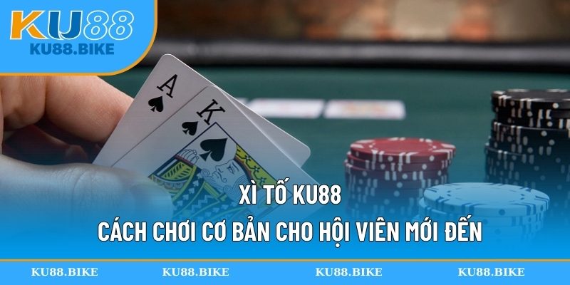 xì tố ku88