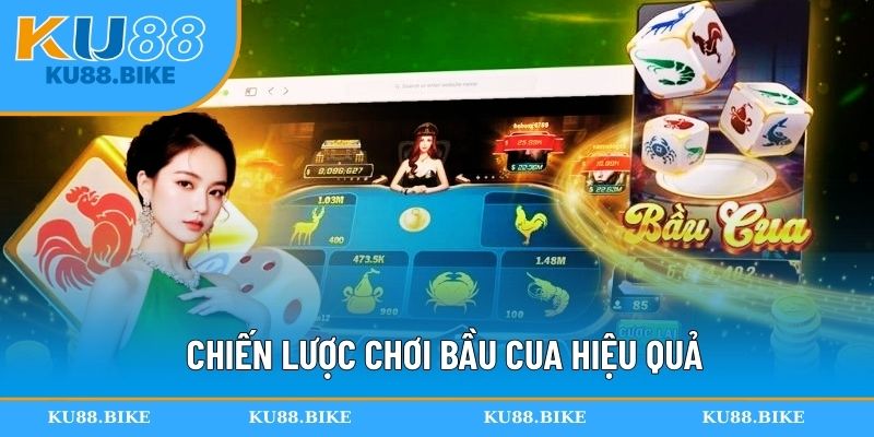 Chiến lược chơi bầu cua hiệu quả