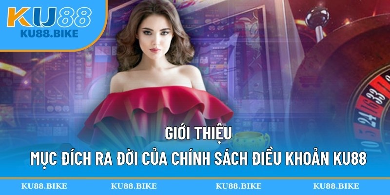 Giới thiệu mục đích ra đời của chính sách điều khoản KU88