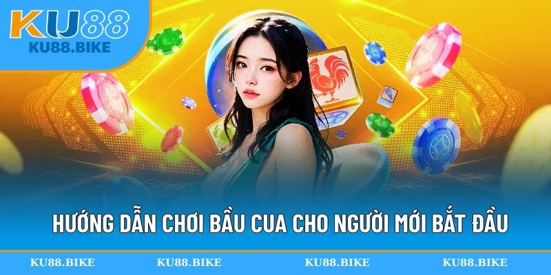 Hướng dẫn chơi bầu cua cho người mới bắt đầu