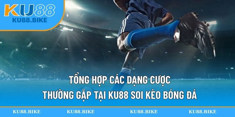 Tổng hợp các dạng cược thường gặp tại KU88 soi kèo bóng đá