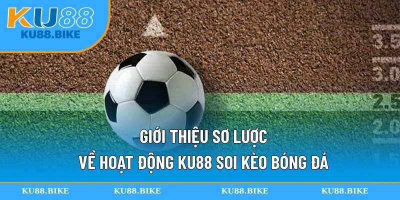 Giới thiệu sơ lược về hoạt động KU88 soi kèo bóng đá