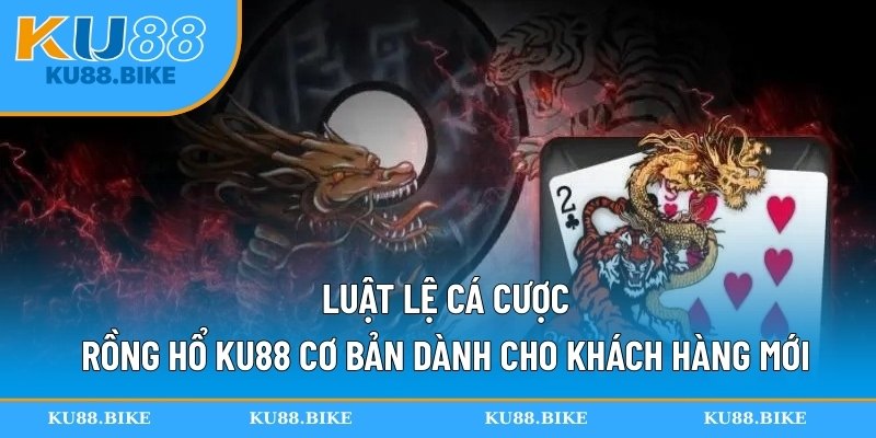 Luật lệ cá cược rồng hổ KU88 cơ bản dành cho khách hàng mới
