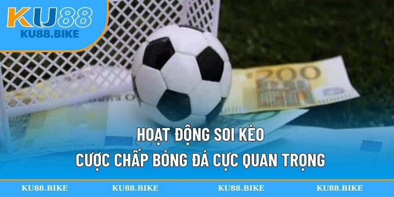 Hoạt động soi kèo cược chấp bóng đá cực quan trọng