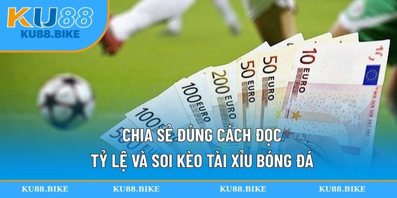 Chia sẻ đúng cách đọc tỷ lệ và soi kèo tài xỉu bóng đá