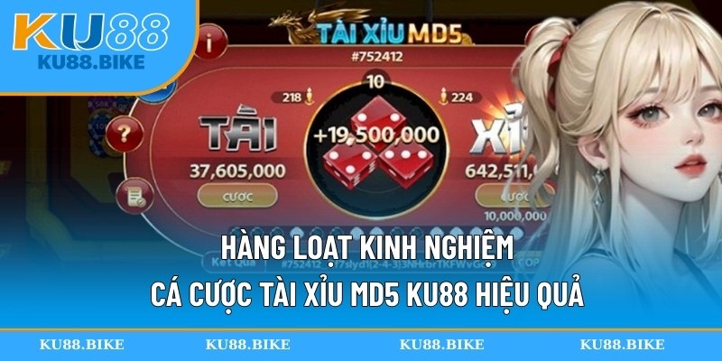 Hàng loạt kinh nghiệm cá cược tài xỉu MD5 KU88 hiệu quả