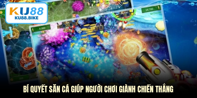 Bí quyết săn cá giúp người chơi giành chiến thắng