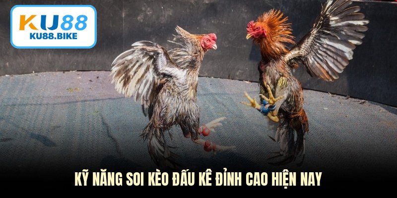 Kỹ năng soi kèo đấu kê đỉnh cao hiện nay
