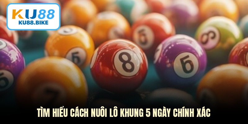 Tìm hiểu cách nuôi lô khung 5 ngày chính xác